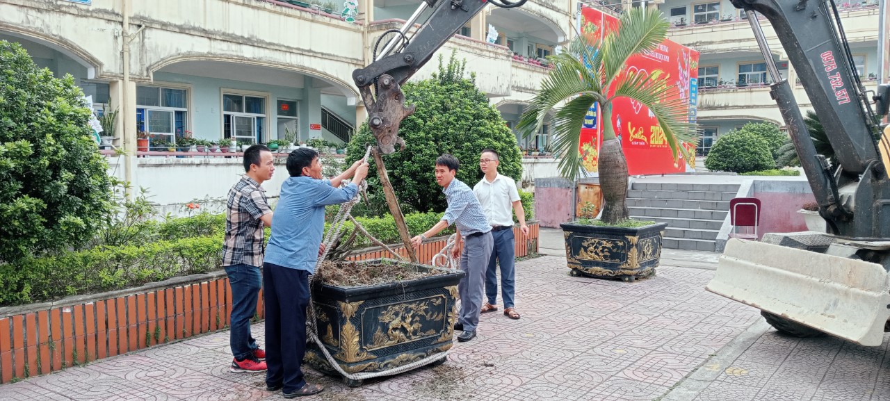 TRƯỜNG TIỂU HỌC KỲ PHƯƠNG PHÁT ĐỘNG “TẾT TRỒNG CÂY ĐỜI ĐỜI NHỚ ƠN BÁC HỒ” NHÂN DỊP  TẾT NGUYÊN ĐÁN GIÁP THÌN 2024